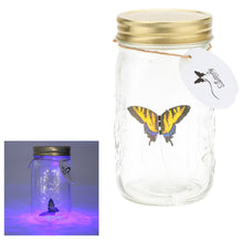 Load image into Gallery viewer, Animated Butterfly in a Jar Yellow Swallowtail - Tap to Activate
