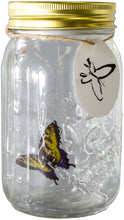 Load image into Gallery viewer, Simply tap the jar to activate the butterfly&#39;s realistic action. Ambient sound may also make it flutter! | The Glass Butterfly Jar measures approx. 17 cm x 9.5 cm x 9.5 cm | Takes 3 x AAA batteries (not included) | Your butterfly will move for around 90 seconds, Batteries have automatic standby so no need for a power button!
