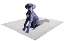 Load image into Gallery viewer, X-Large Leak-Proof Pee Pads for Dogs, 5 Layers with Attractive Scent to Improve Potty Training Success, 28&quot; x 34&quot;
