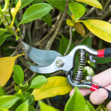 Load image into Gallery viewer, 8.5&quot; Steel Pruning Shears - Gardening Hedge Trimmer - Bonsai / Branch Cutters
