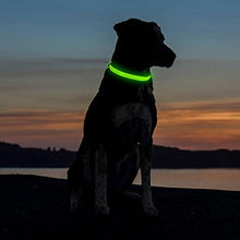 Load image into Gallery viewer, Green Light-Up LED Adjustable Pet Collar (Flashing or Steady Modes) - Rechargeable via USB Cable (Included) (Large)
