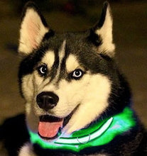 Load image into Gallery viewer, Large Size - Adjustable from approximately 15&quot; to 21&quot; | Vehicles will see your pet well in advance with this bright, illuminated collar | Easy to operate - simply squeeze the button on to cycle the 4 different modes: Fast Flashing, Slow Flashing, On, and Off | Built-in rechargeable battery charges via Micro-USB cable (included) | Features an adjustable strap, sturdy buckle, and a heavy-duty D-ring for attaching a leash
