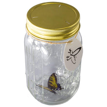 Load image into Gallery viewer, Animated Butterfly in a Jar Yellow Swallowtail - Tap to Activate
