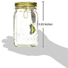 Load image into Gallery viewer, Animated Butterfly in a Jar Yellow Swallowtail - Tap to Activate
